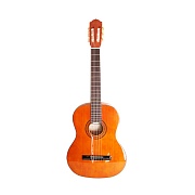 NARANDA CG220-3/4 - уменьшенная классическая гитара, 3/4